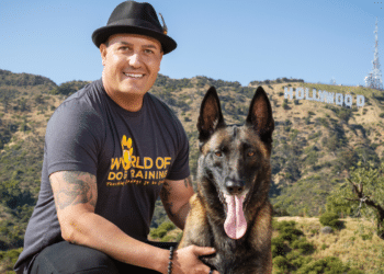 Ryan Matthews: Revolutionizing Dog Training Through Empathy and Leadership