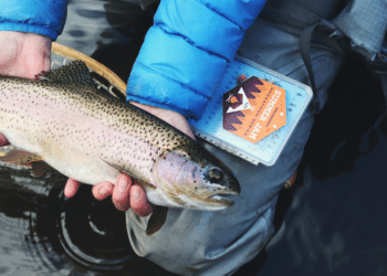 Guide to Exploring New Fishing Waters