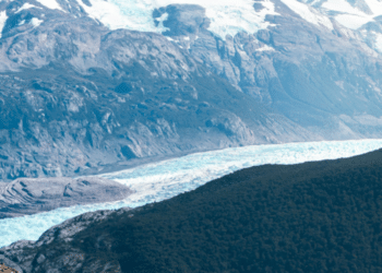 Joe Bayfield's Evolution into a South American Travel Expert