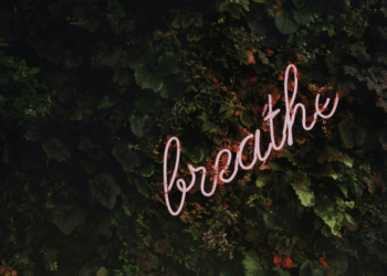 Explore Sidney Crawford's 'Whispers of the Heart'