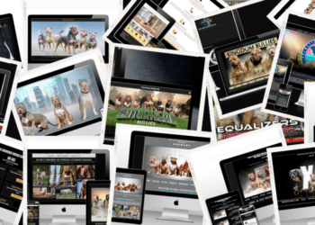 Modern and Creative Web Design for Dog Breeders