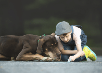 Carol Arscott Photography Expands Services to Support Rescue Fundraising with New Studio in Media, PA