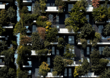 Sustainable Cities Androsky Lugo's Vision for the Future