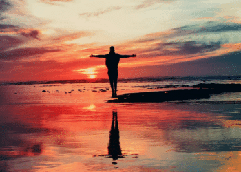 A Trio of Books for Health, Wealth, and Sustainable Living