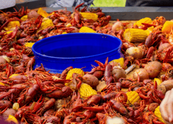 Donald Zammit on Exploring Florida’s Culinary Delights