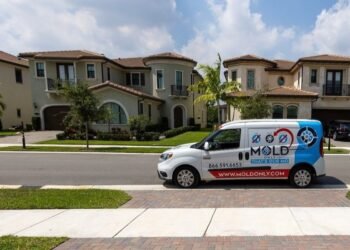 Mold Only Expands Its Influence as a Trusted Mold Remediation Company in South Florida