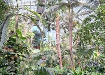 How Content Creators Can Normalize Garden Rooms and Make Them a Growing Trend