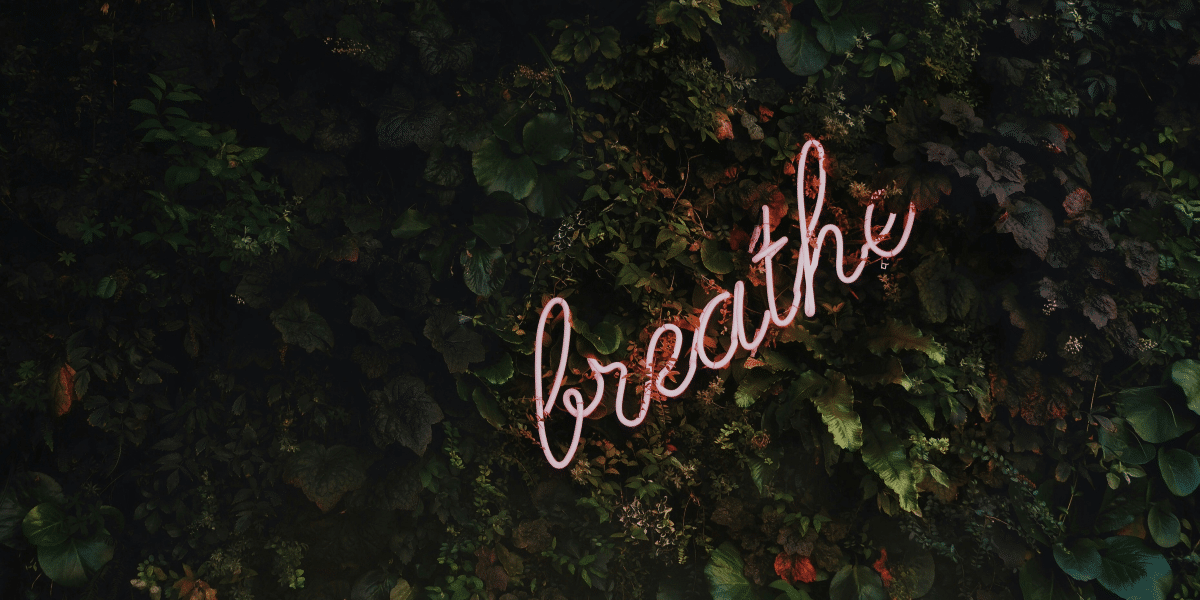 Explore Sidney Crawford's 'Whispers of the Heart'